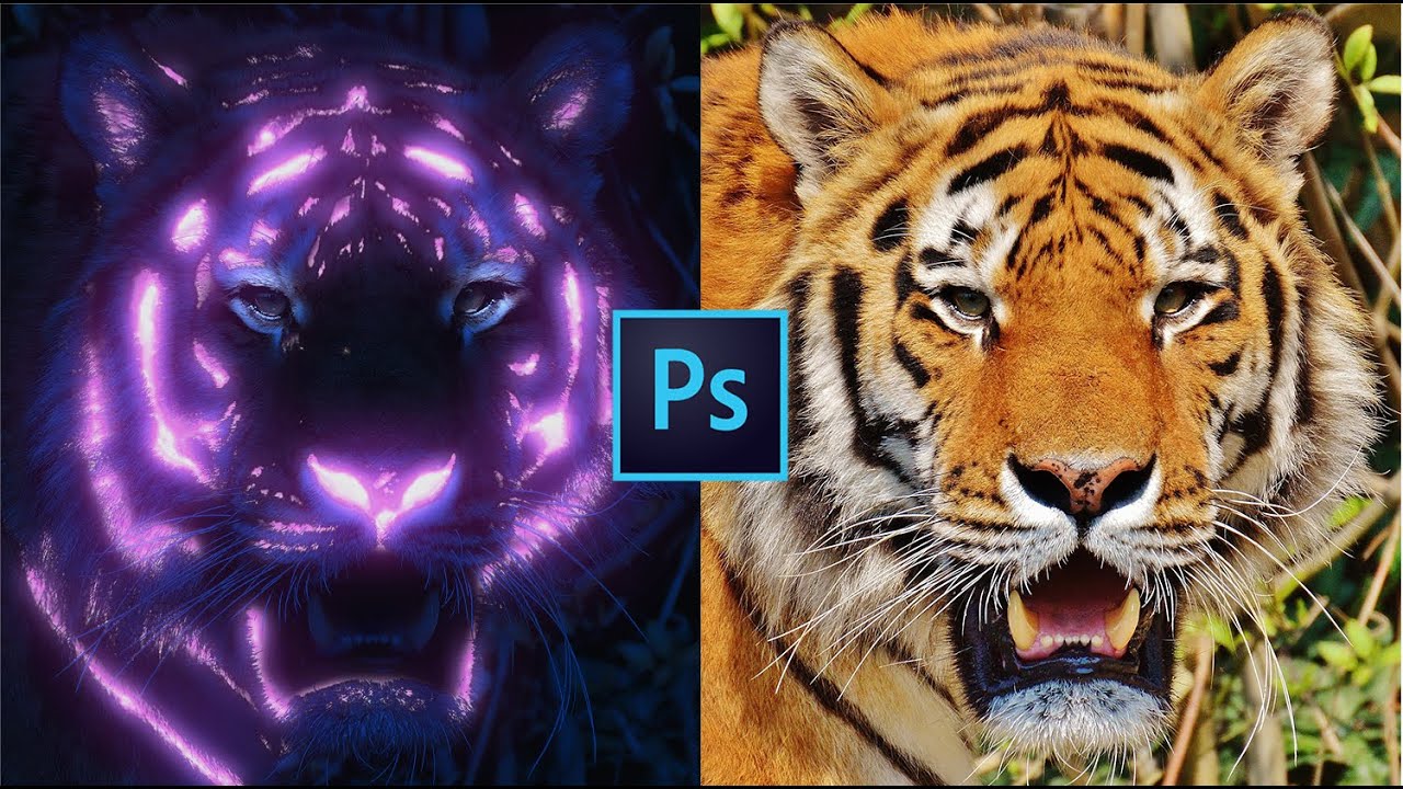 Glow Tiger | Adobe Photoshop | Graphic Design Tutorials